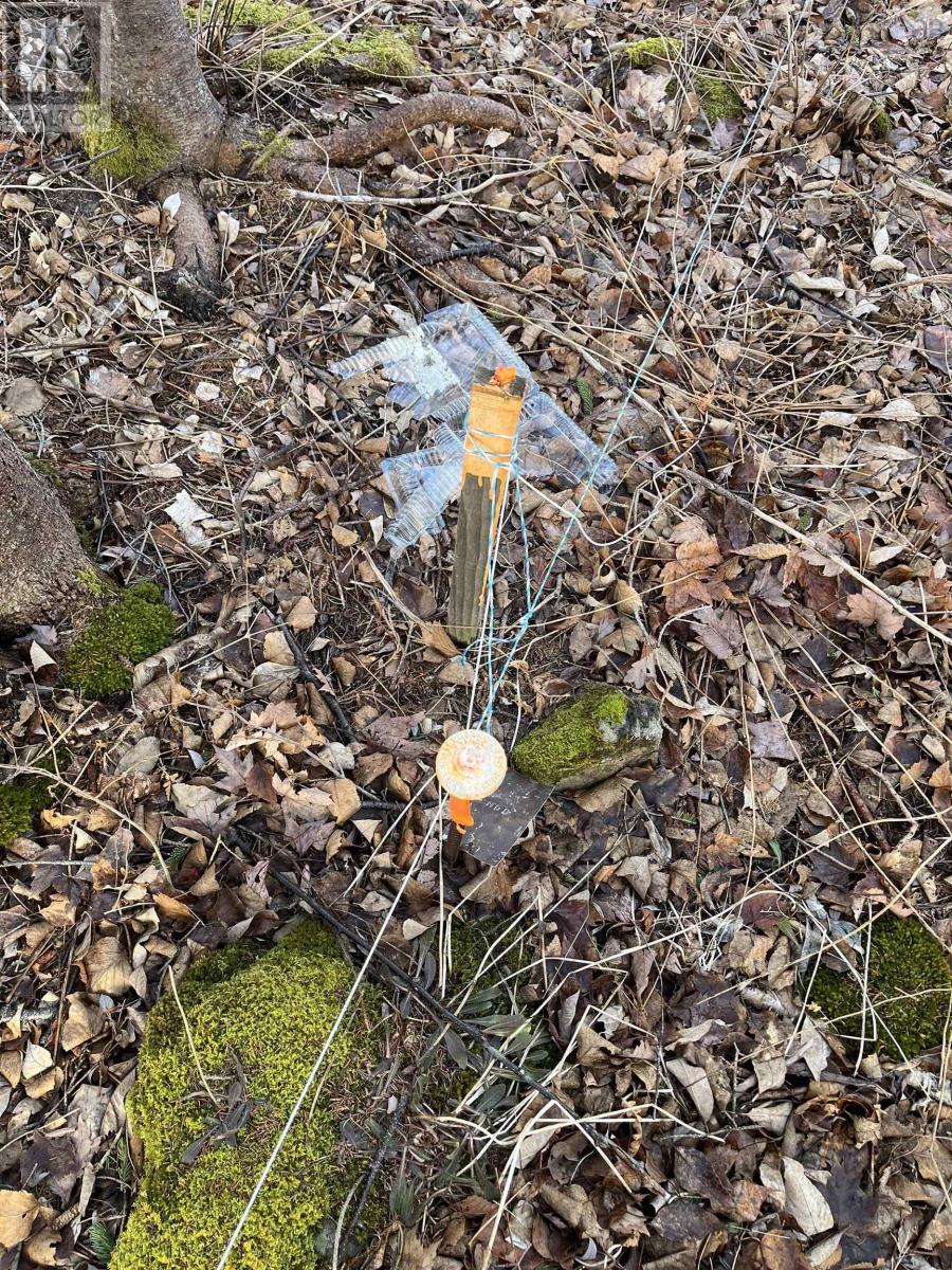 7079 Shore Road, Phinneys Cove, Nova Scotia  B0S 1L0 - Photo 29 - 202505506