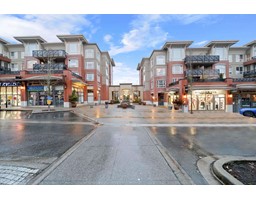 214 2970 KING GEORGE BOULEVARD, Surrey, British Columbia
