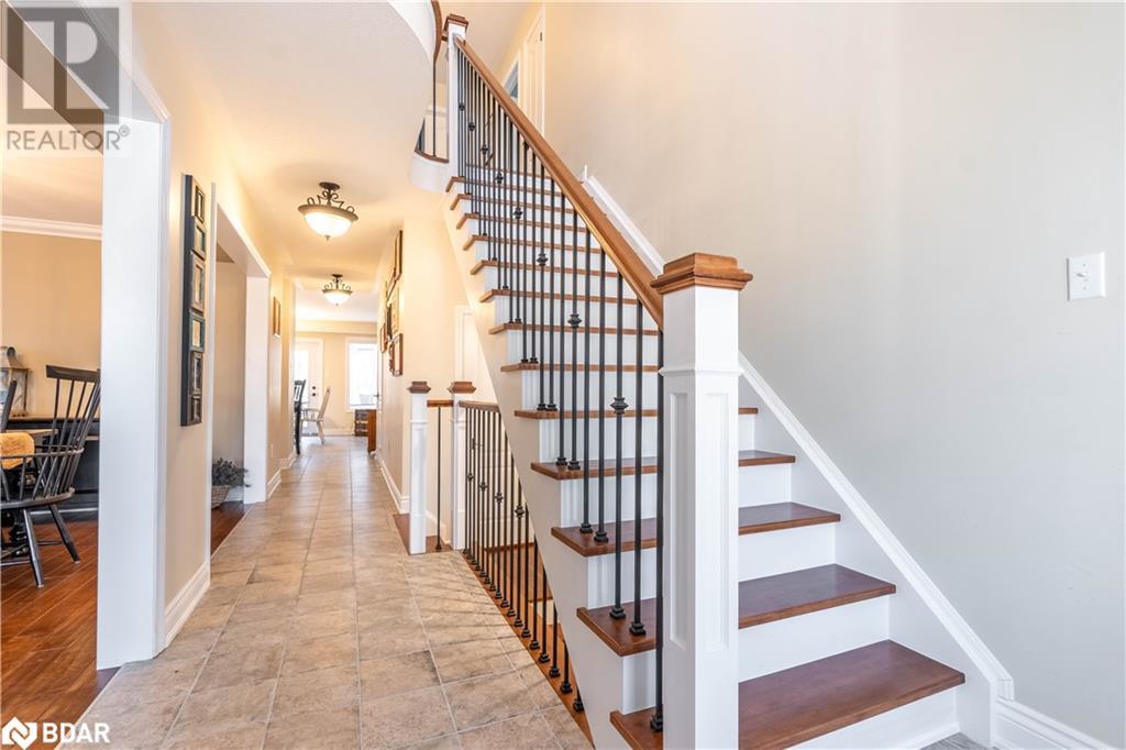 Property at 7 COUNSELLOR Terrace image 3