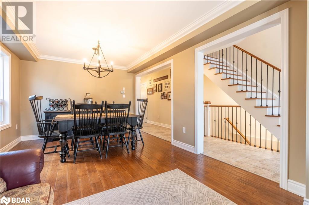 Property at 7 COUNSELLOR Terrace image 5