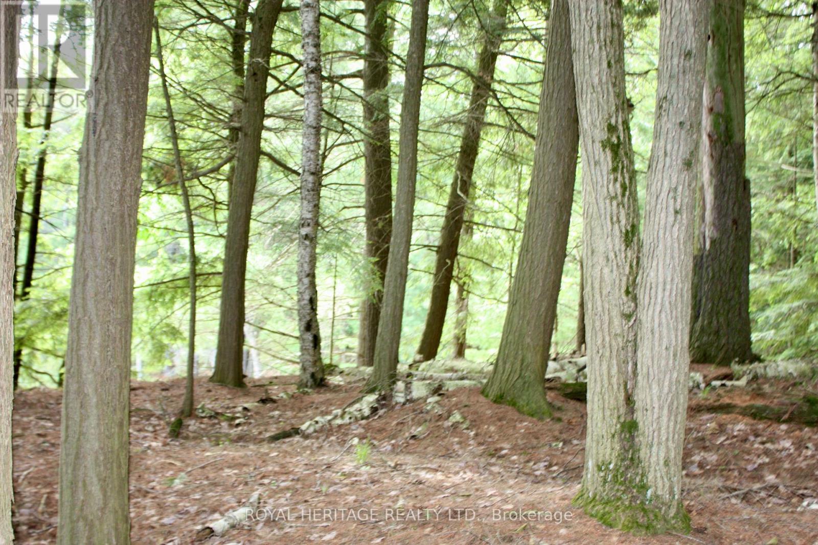 Lot 4 - N/a-Wao Kasshabog Lake, Havelock-Belmont-Methuen, Ontario  K0L 2H0 - Photo 10 - X12038864