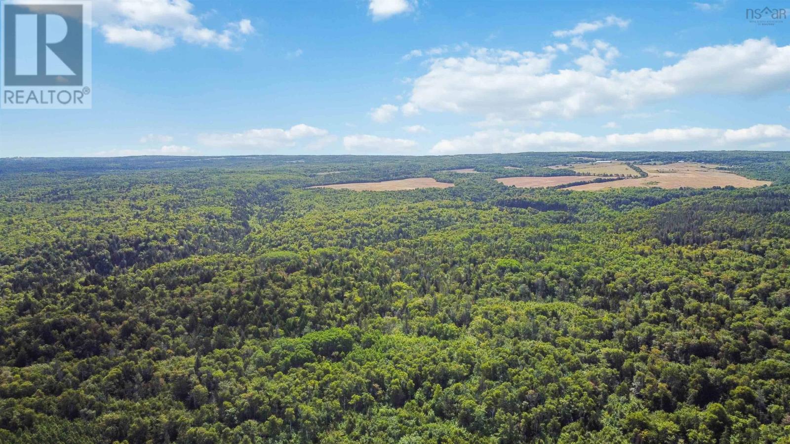 Al Bennett Road, Halls Harbour, Nova Scotia  B0P 1J0 - Photo 13 - 202505198