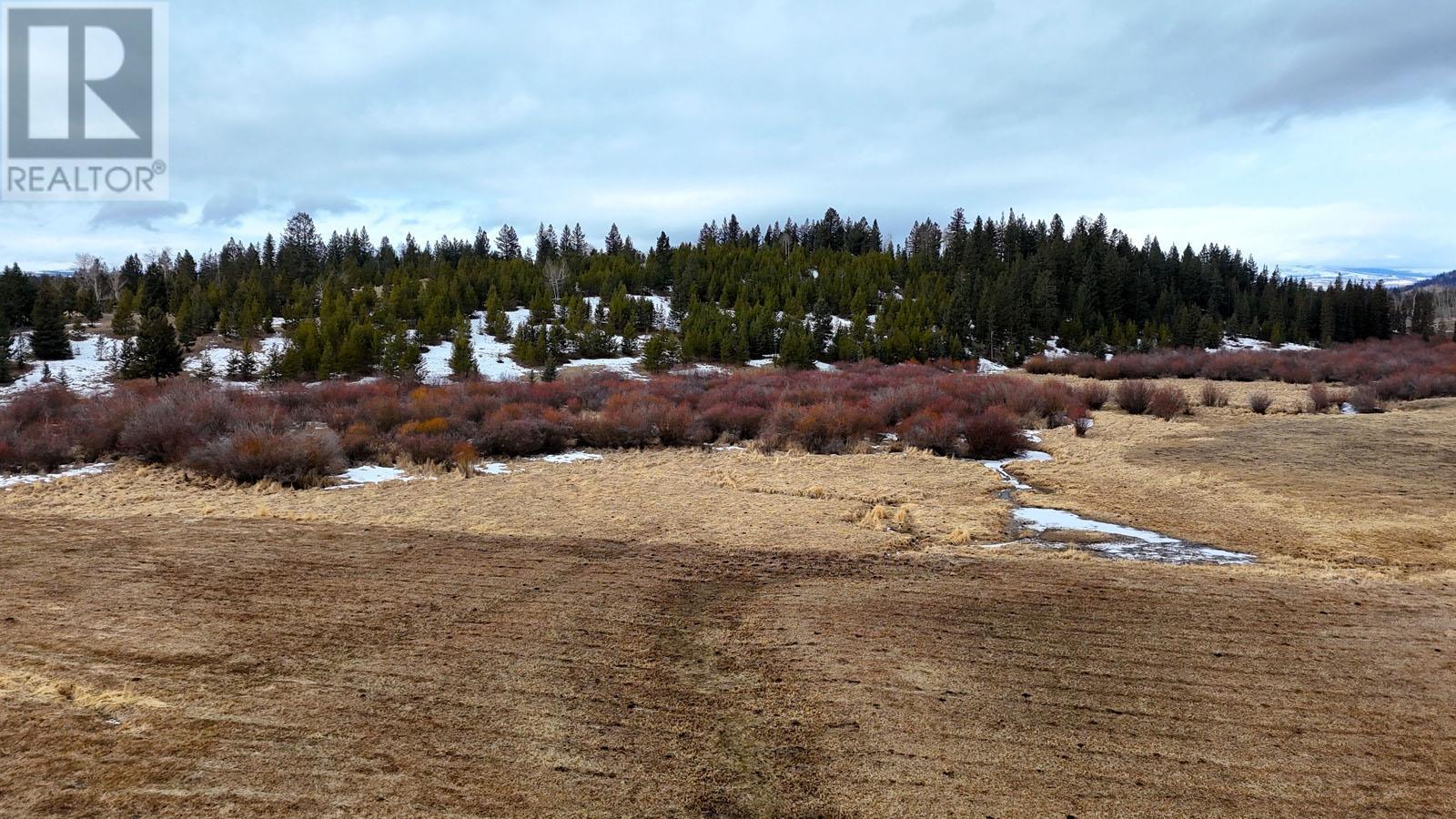 80 Acres Old Meadow Creek Road, Logan Lake, British Columbia  V0K 1W0 - Photo 21 - 10340339