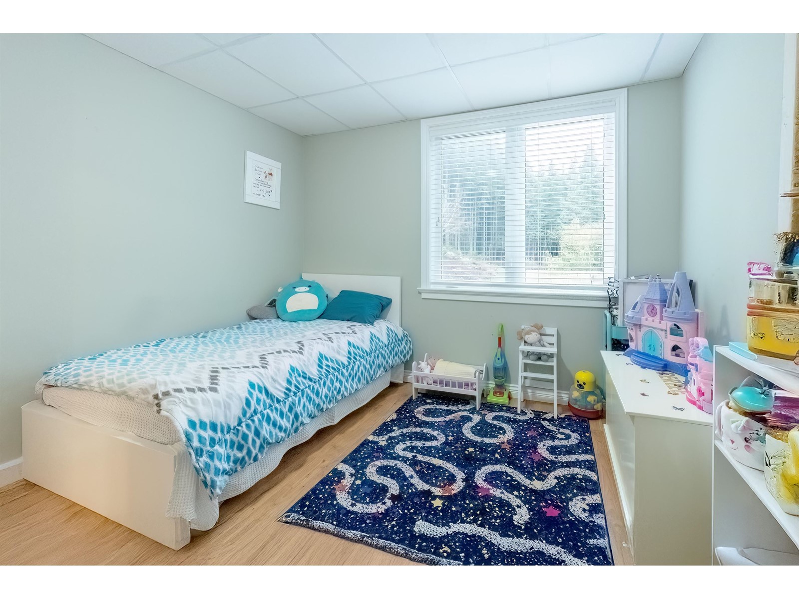 12595 Powell Street, Mission, British Columbia  V4S 1C1 - Photo 36 - R2981520