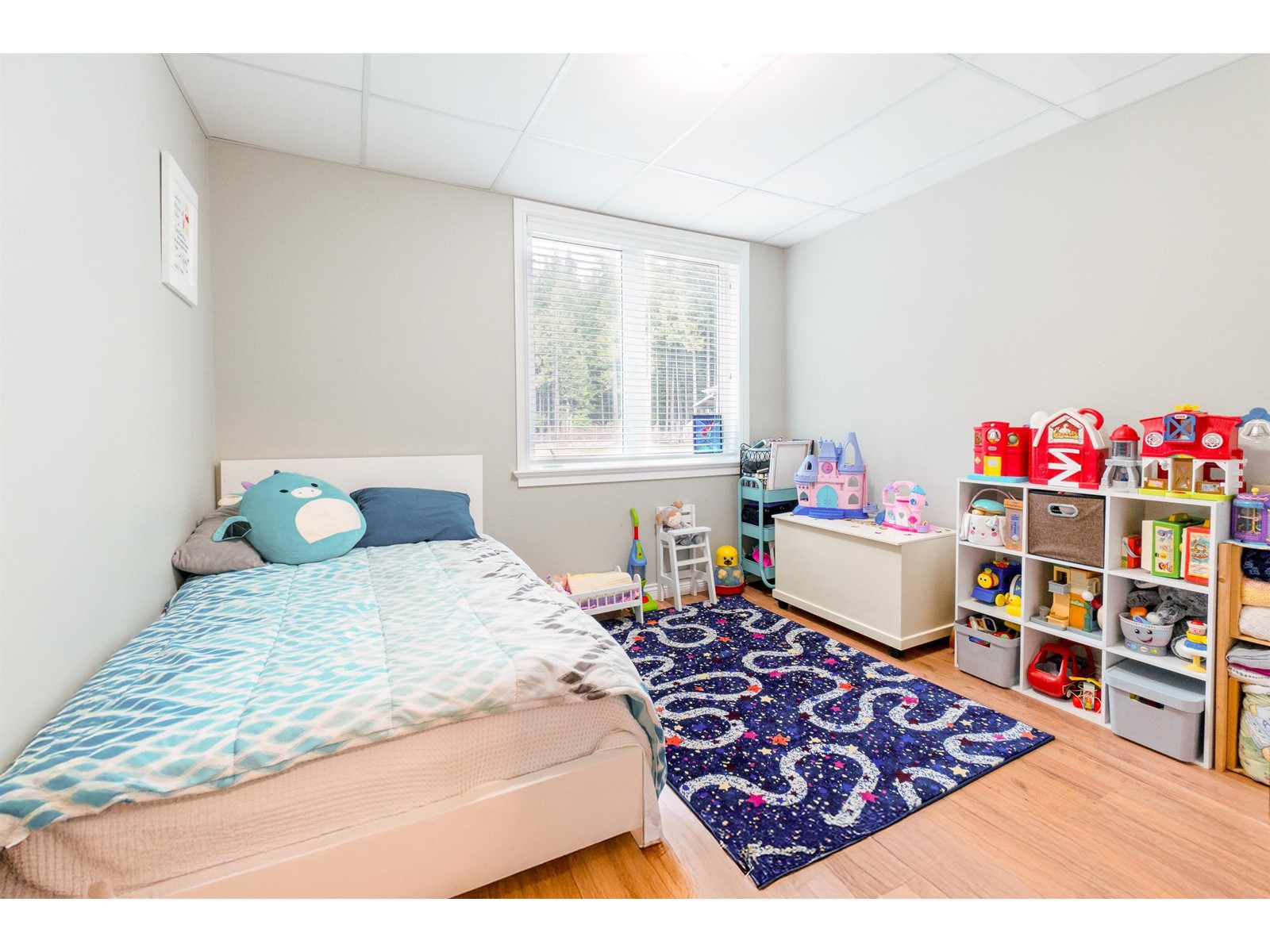 12595 Powell Street, Mission, British Columbia  V4S 1C1 - Photo 35 - R2981520