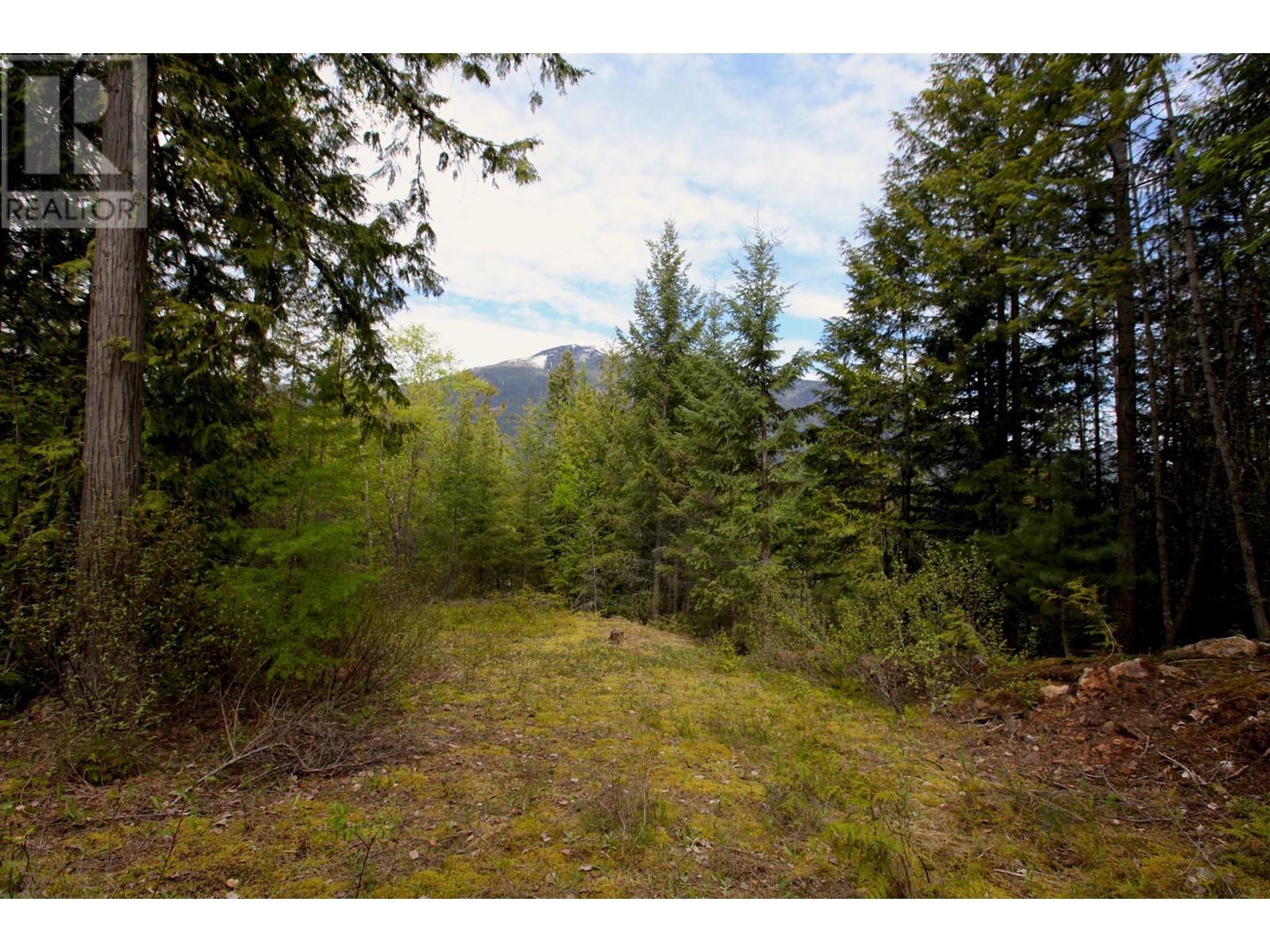 434 LEXINGTON Avenue, Procter, BC V1L6R7