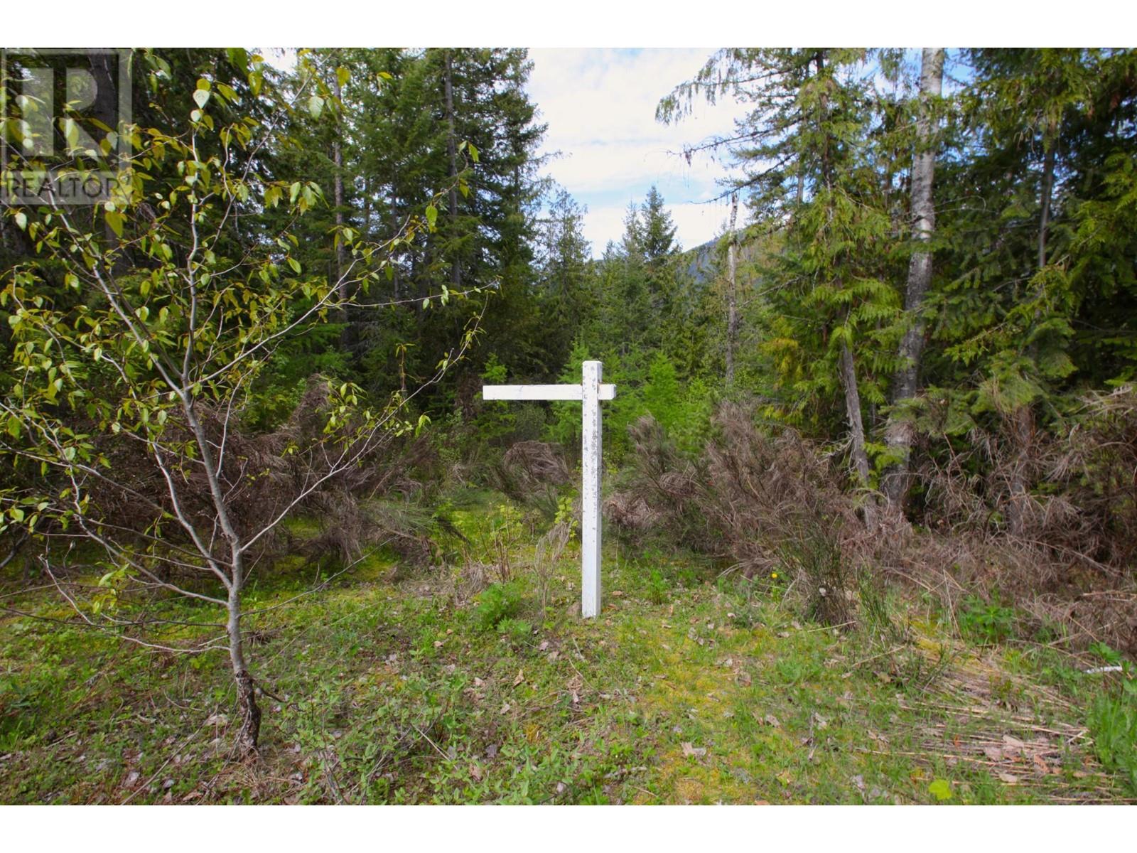 434 LEXINGTON Avenue, Procter, BC V1L6R7