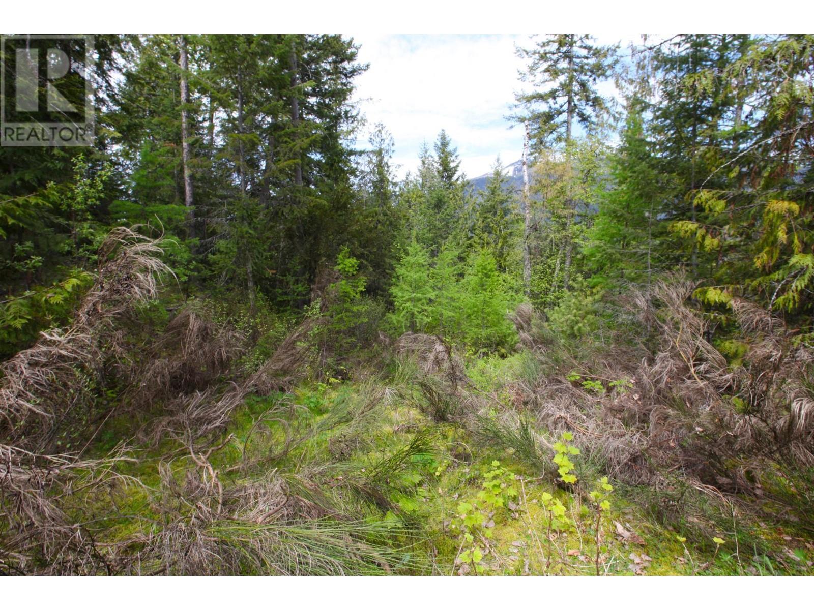 434 LEXINGTON Avenue, Procter, BC V1L6R7