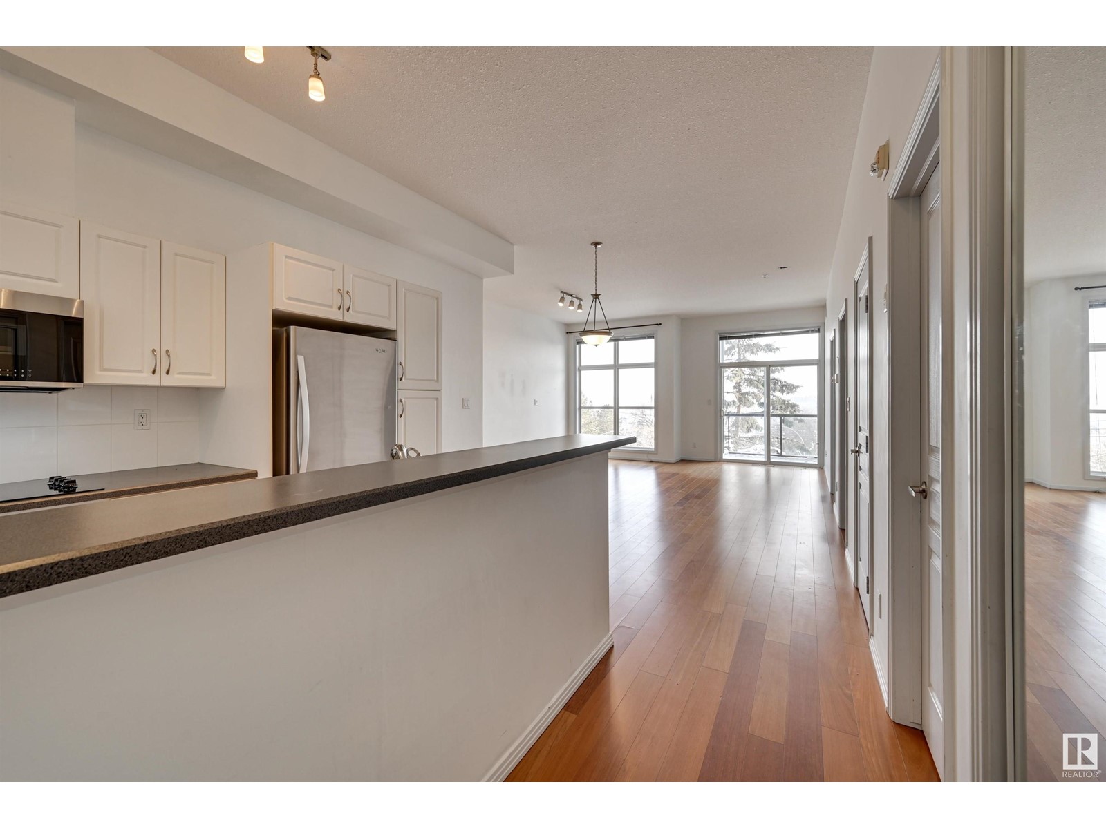 #302 9503 101 Av Nw, Edmonton, Alberta  T5H 4R1 - Photo 23 - E4421628