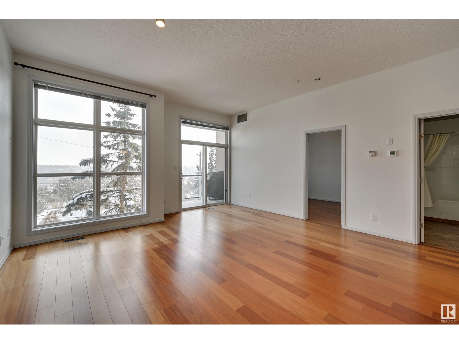 #302 9503 101 Av Nw, Edmonton, Alberta  T5H 4R1 - Photo 10 - E4421628