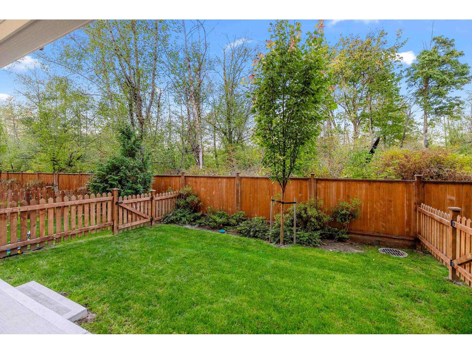 49 19501 74 Avenue, Surrey, British Columbia  V4N 6V7 - Photo 25 - R2981636