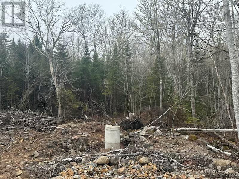 Lot 49 Turner Point, Walden, Nova Scotia  B0J 2E0 - Photo 13 - 202500197