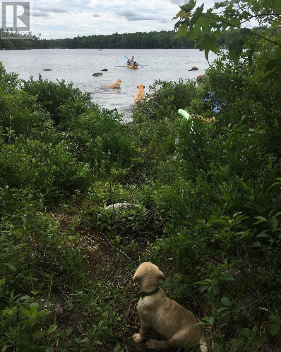 Lot 2 Victory Road, Victory, Nova Scotia  B0S 1A0 - Photo 23 - 202503366