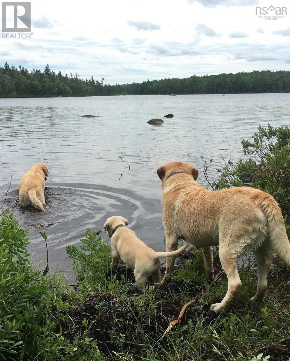 Lot 2 Victory Road, Victory, Nova Scotia  B0S 1A0 - Photo 24 - 202503366