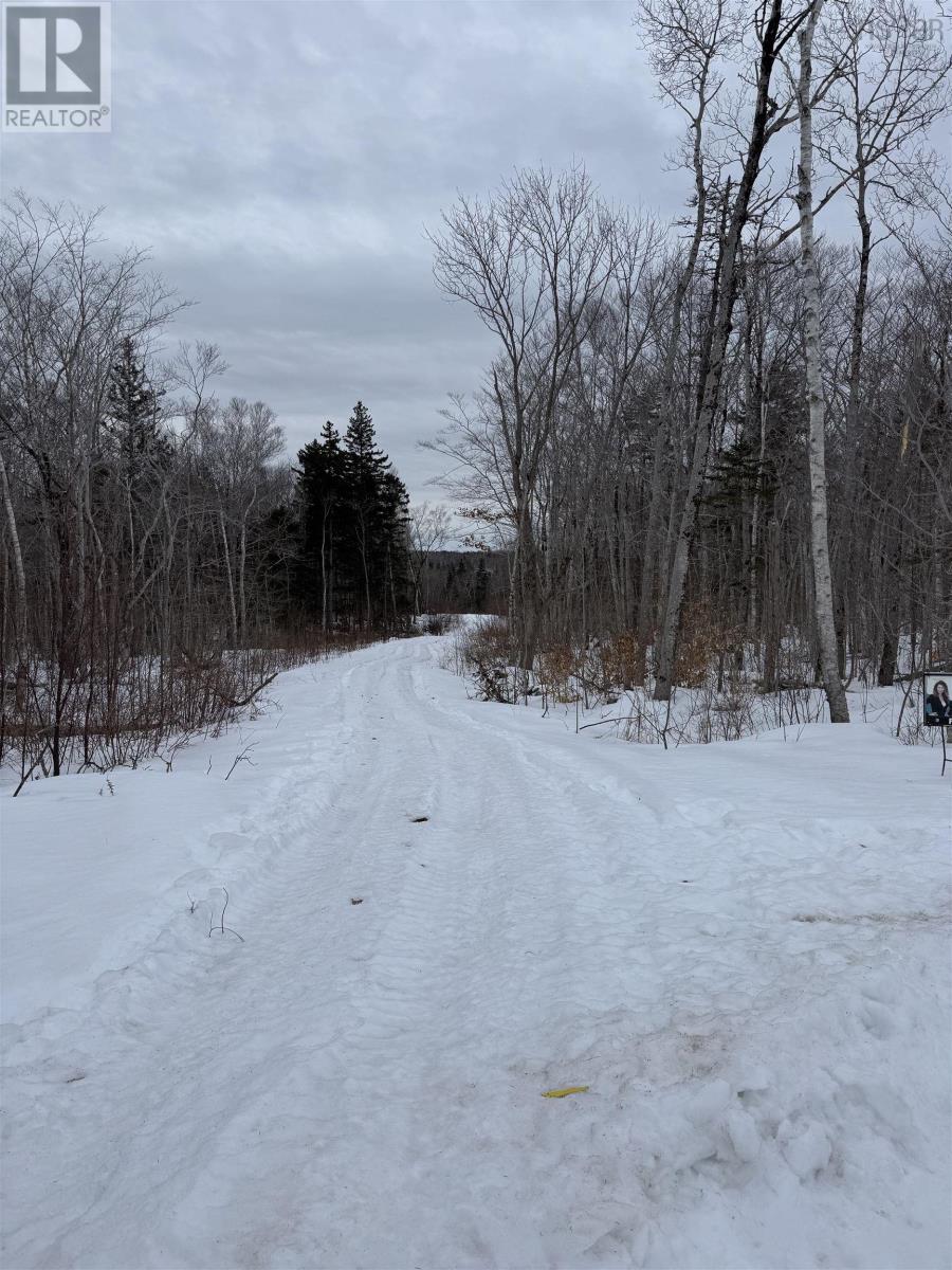 Lot 2 Victory Road, Victory, Nova Scotia  B0S 1A0 - Photo 4 - 202503366