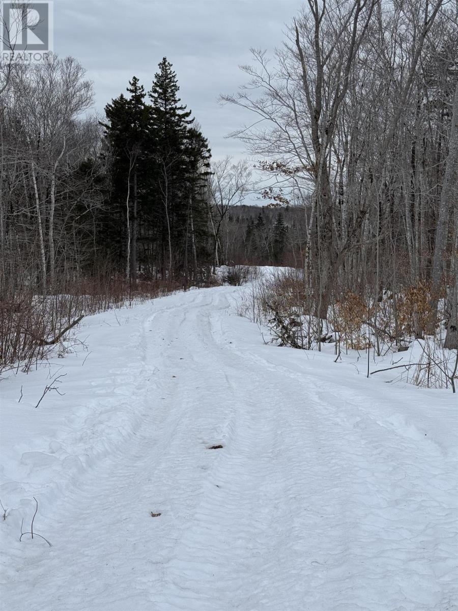 Lot 2 Victory Road, Victory, Nova Scotia  B0S 1A0 - Photo 5 - 202503366