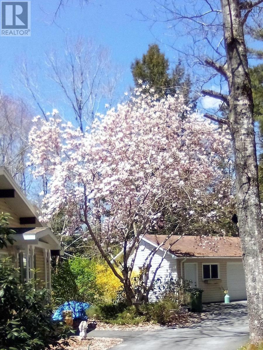 41 Lakeview Circle, Conquerall Mills, Nova Scotia  B4V 6A9 - Photo 38 - 202504535