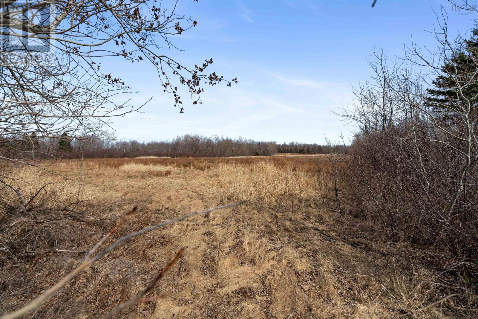 Block A Blue Sea Road, Malagash, Nova Scotia  B0K 1E0 - Photo 9 - 202504938