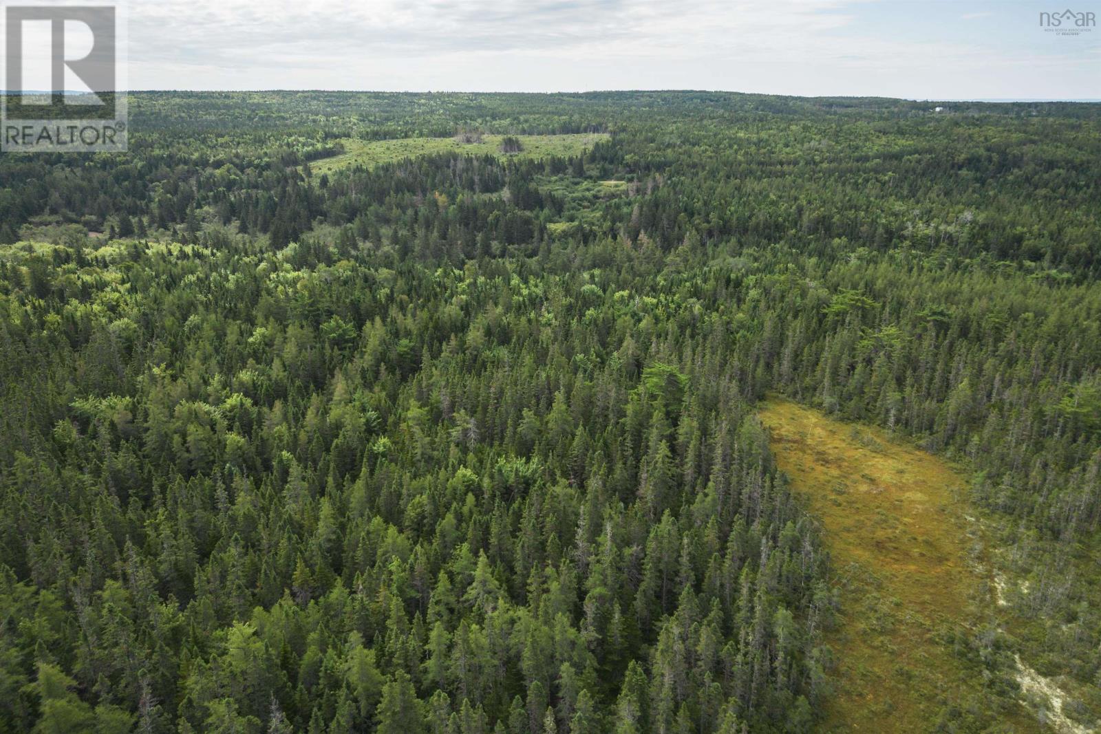 81 Balmoral Road, Grande Anse, Nova Scotia  B0E 1V0 - Photo 11 - 202505041