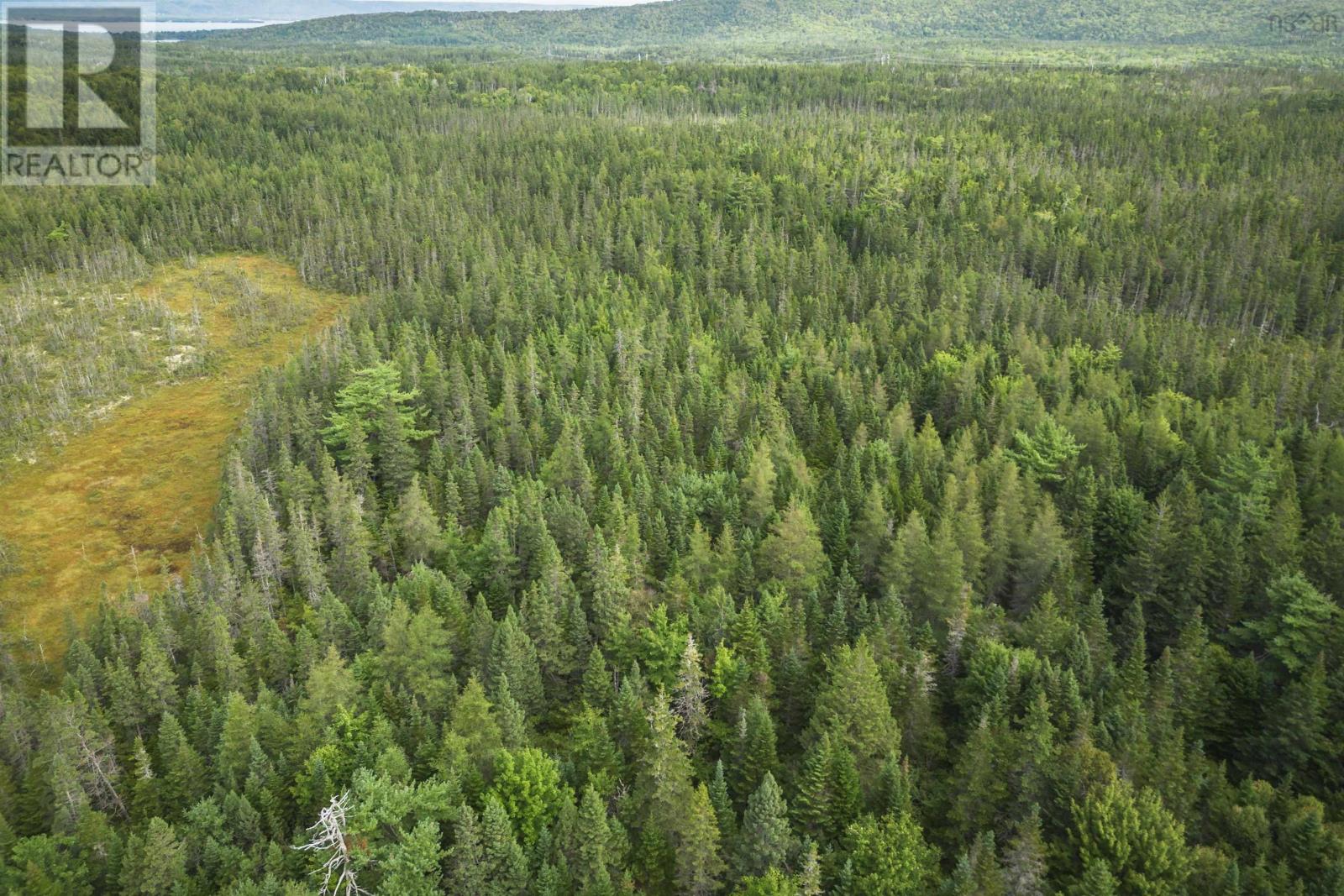 81 Balmoral Road, Grande Anse, Nova Scotia  B0E 1V0 - Photo 14 - 202505041