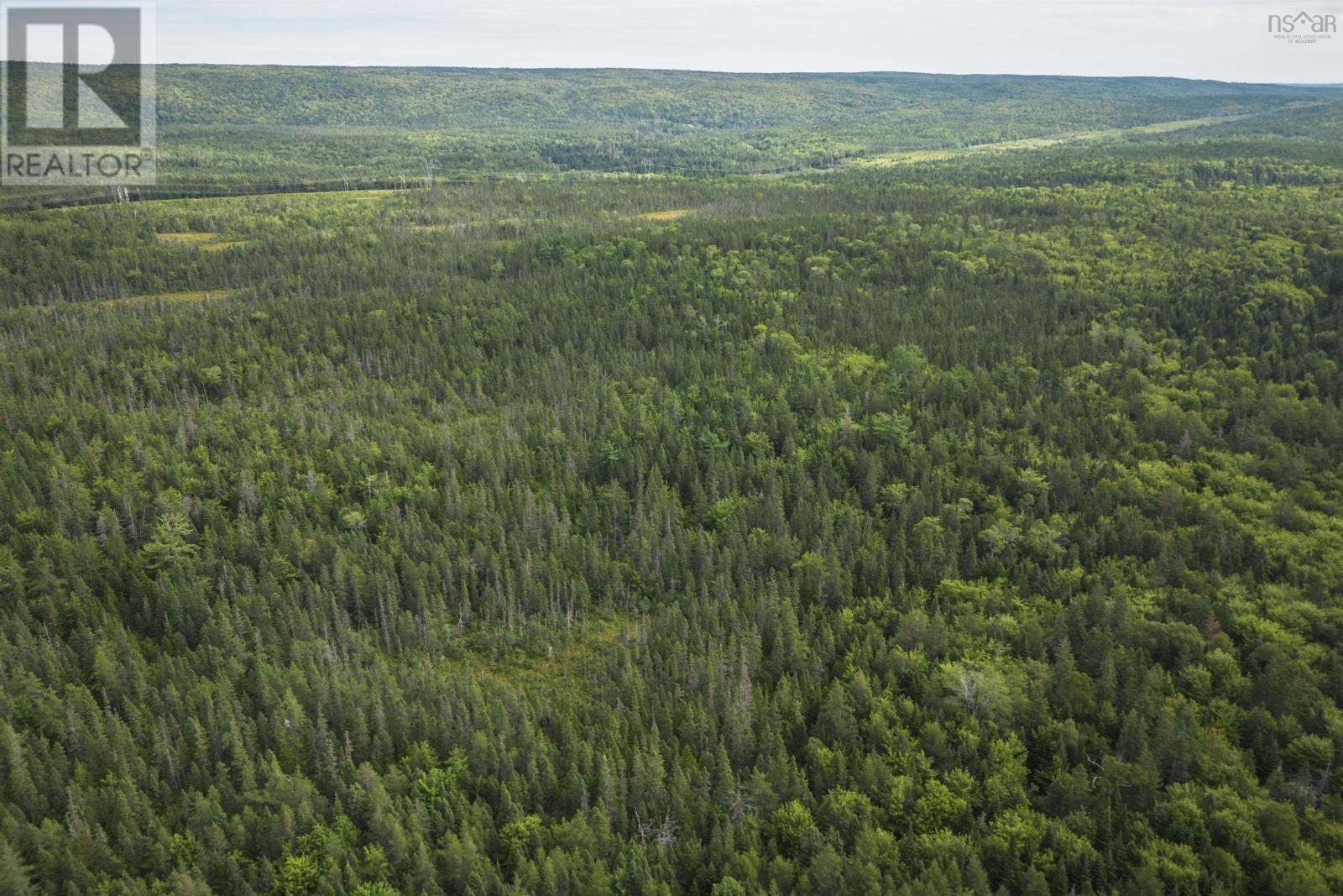 81 Balmoral Road, Grande Anse, Nova Scotia  B0E 1V0 - Photo 16 - 202505041