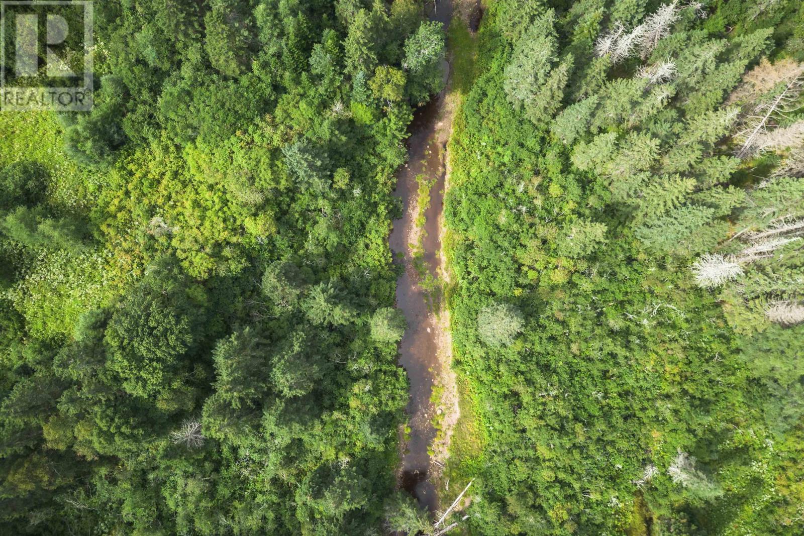 81 Balmoral Road, Grande Anse, Nova Scotia  B0E 1V0 - Photo 4 - 202505041