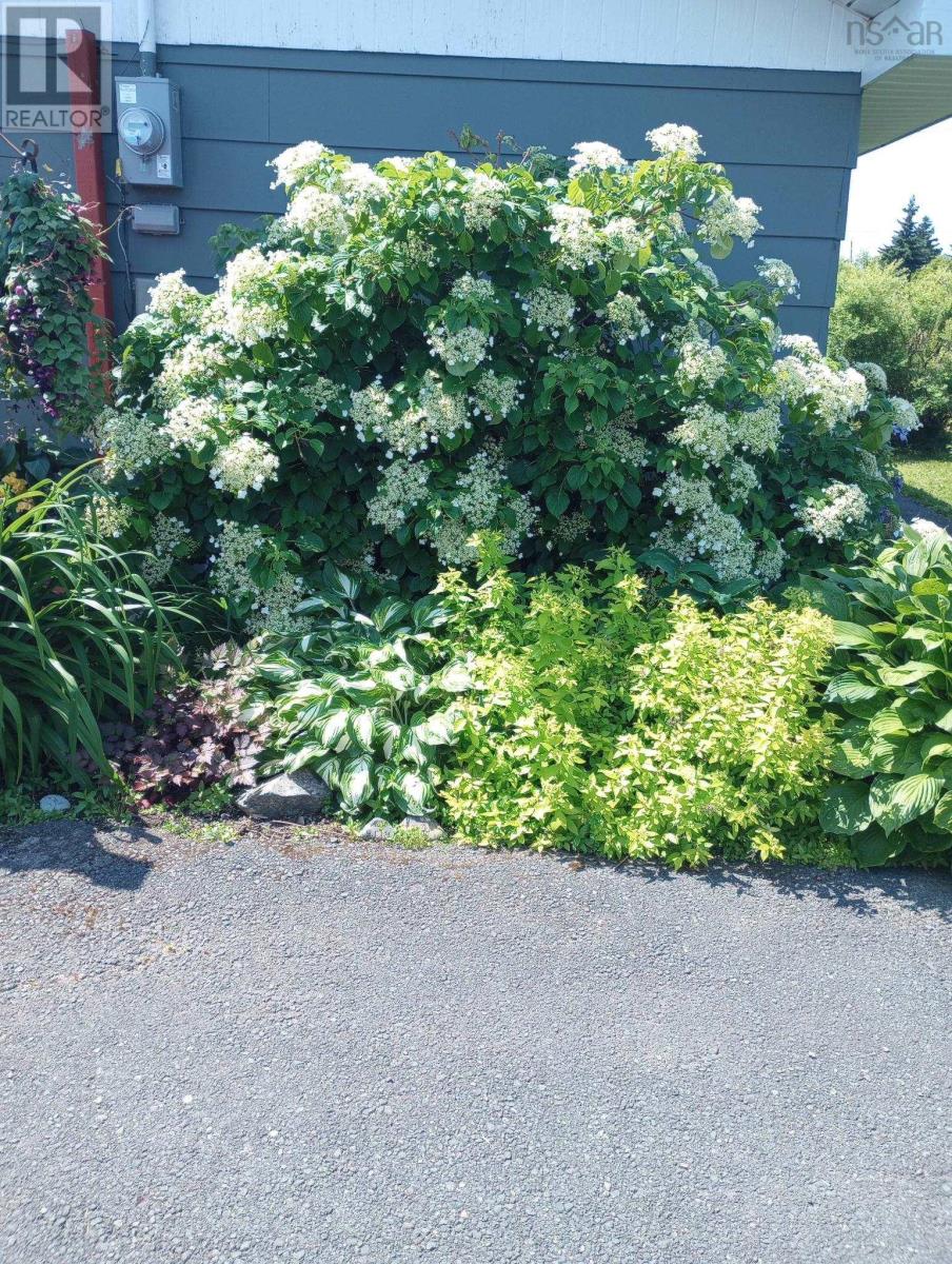 230 Waterview Street, New Waterford, Nova Scotia  B1H 3G4 - Photo 32 - 202505293