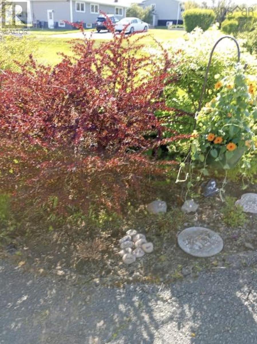 230 Waterview Street, New Waterford, Nova Scotia  B1H 3G4 - Photo 34 - 202505293