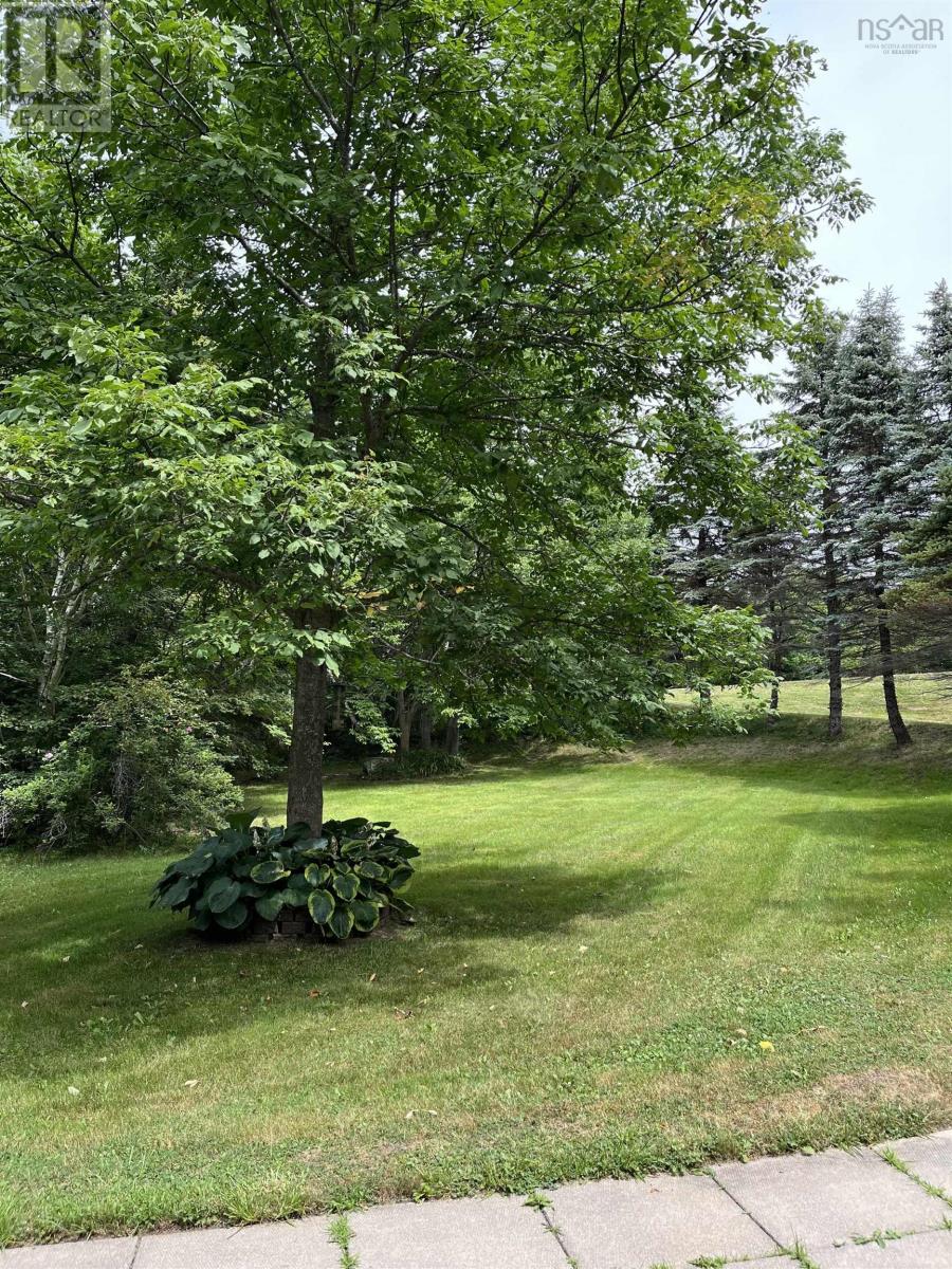 445 Highway 19, Newtown, Nova Scotia  B9A 1J2 - Photo 9 - 202505639