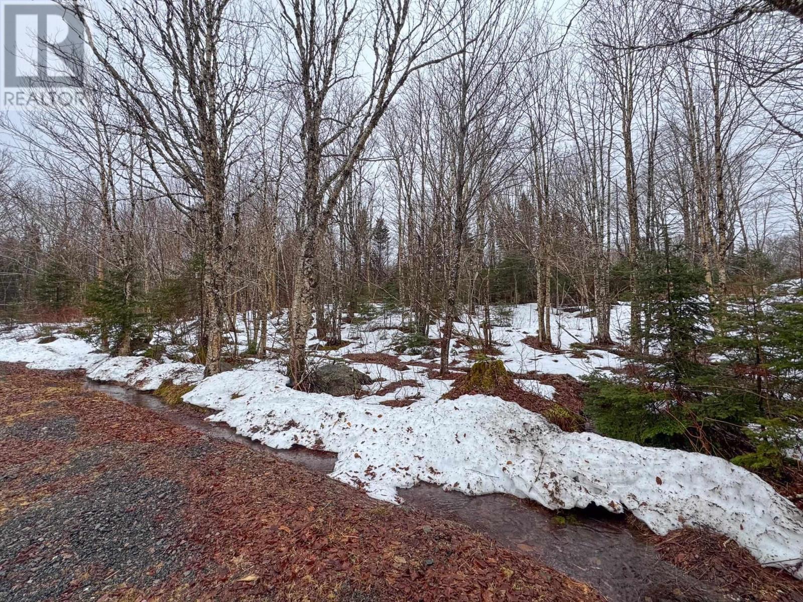 107 Westchester Road, Sutherland Lake, Nova Scotia  B0M 1G0 - Photo 36 - 202505712