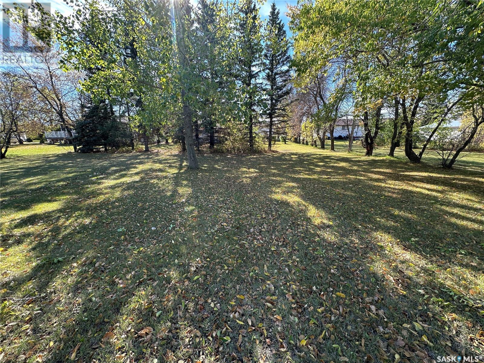832 Railway Avenue, Bruno, Saskatchewan  S0K 0S0 - Photo 49 - SK986662