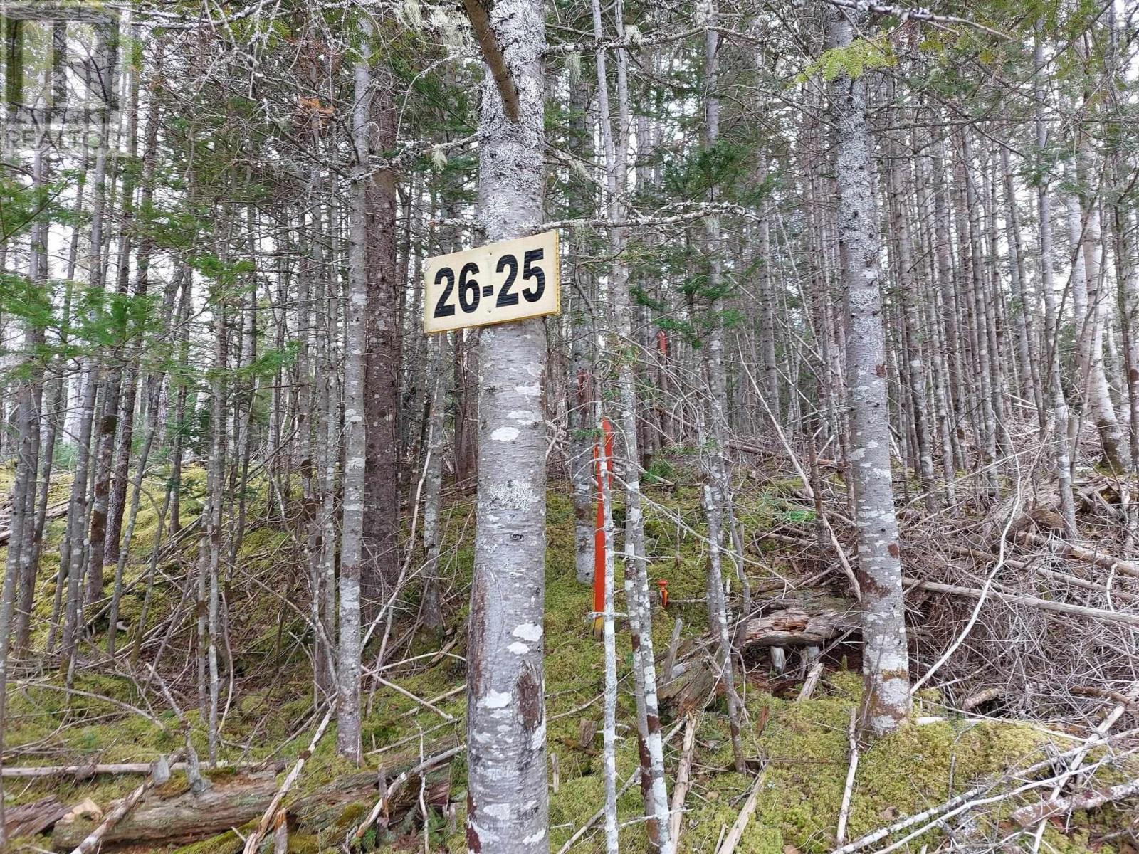 Lot 26 Andreas Popp Ln., Evanston, Nova Scotia  B0E 1J0 - Photo 11 - 202505721