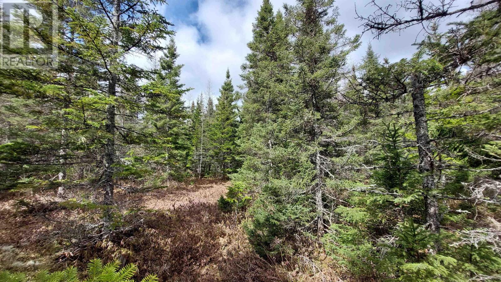 Lot 26 Andreas Popp Ln., Evanston, Nova Scotia  B0E 1J0 - Photo 12 - 202505721