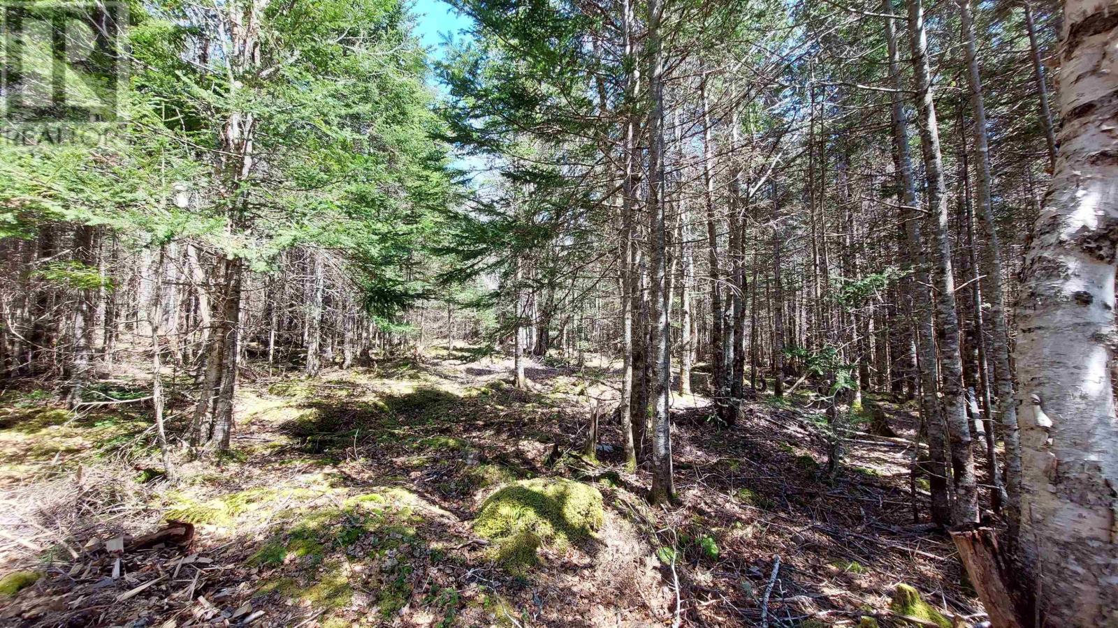 Lot 26 Andreas Popp Ln., Evanston, Nova Scotia  B0E 1J0 - Photo 8 - 202505721