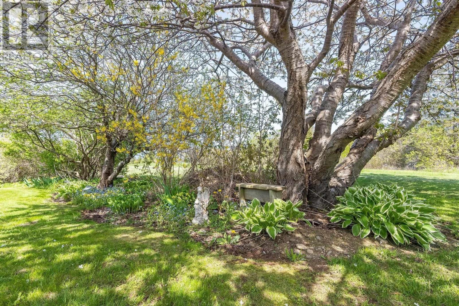 4274 Shore Road, Parkers Cove, Nova Scotia  B0S 1A0 - Photo 33 - 202505714