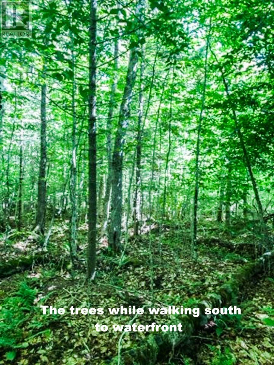 585 Sears Mullen Road, New Tusket, Nova Scotia  B0W 3T0 - Photo 6 - 202505740