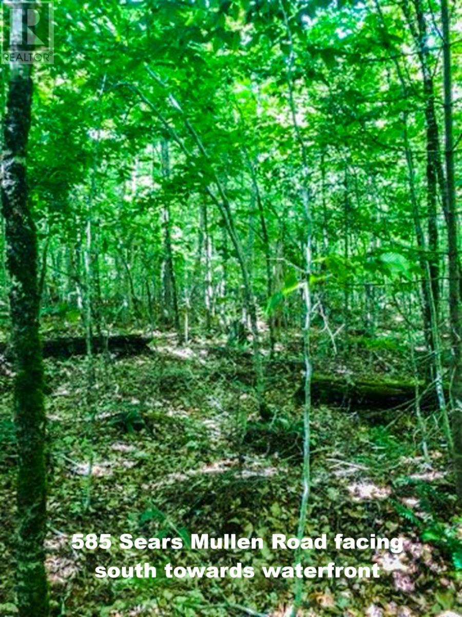 585 Sears Mullen Road, New Tusket, Nova Scotia  B0W 3T0 - Photo 7 - 202505740