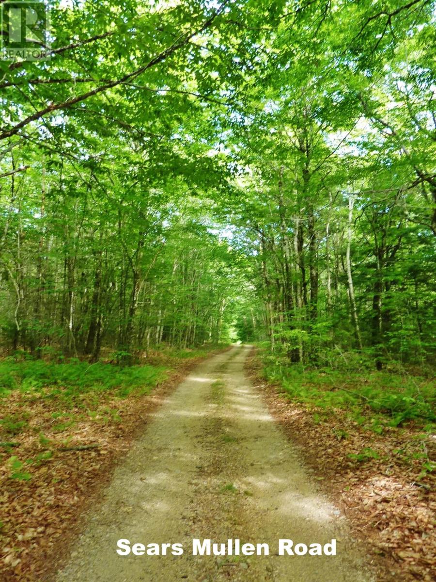 585 Sears Mullen Road, New Tusket, Nova Scotia  B0W 3T0 - Photo 8 - 202505740