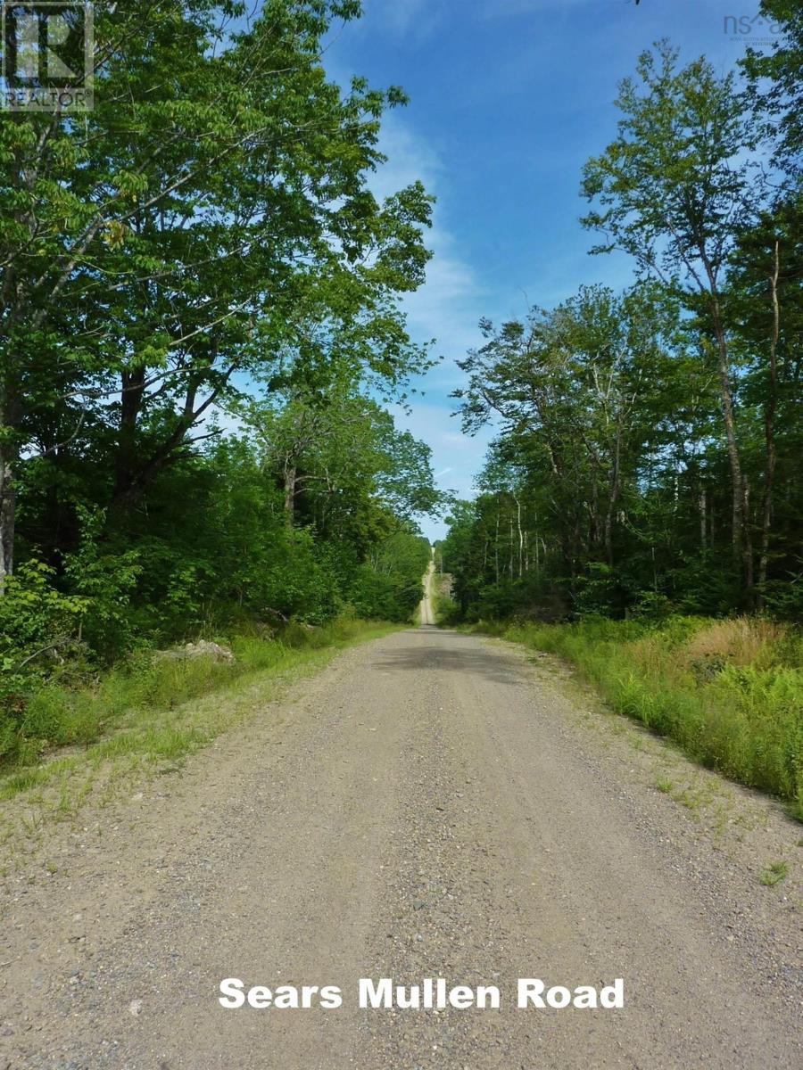 585 Sears Mullen Road, New Tusket, Nova Scotia  B0W 3T0 - Photo 9 - 202505740