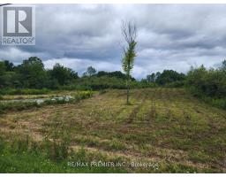 3180 FOURTH CONCESSION ROAD, Kingston, Ontario