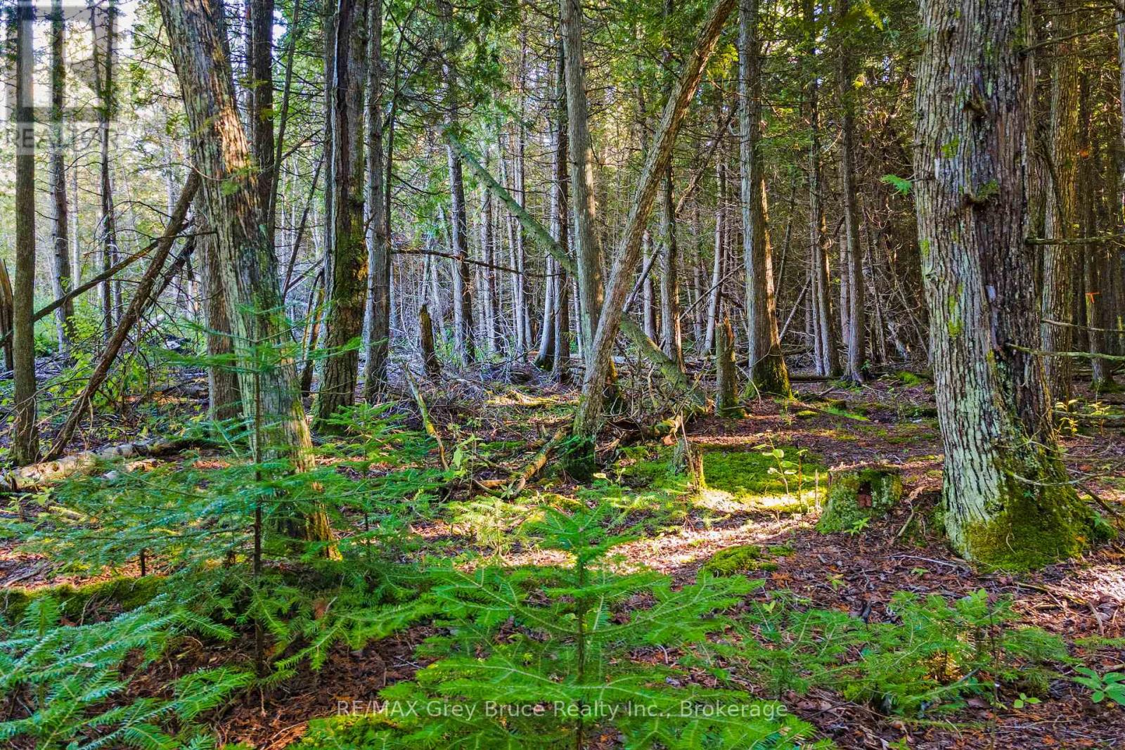 30 Huron Park Road, Northern Bruce Peninsula, Ontario  N0H 1W0 - Photo 10 - X12040081