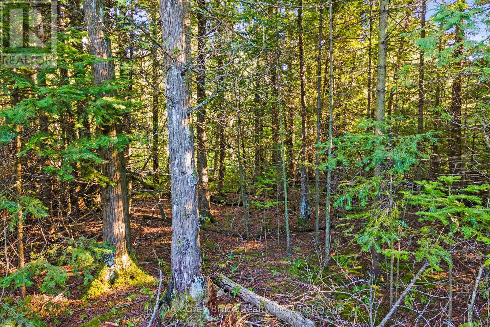 30 Huron Park Road, Northern Bruce Peninsula, Ontario  N0H 1W0 - Photo 11 - X12040081