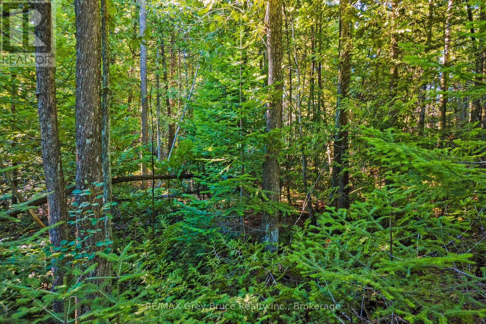 30 Huron Park Road, Northern Bruce Peninsula, Ontario  N0H 1W0 - Photo 12 - X12040081