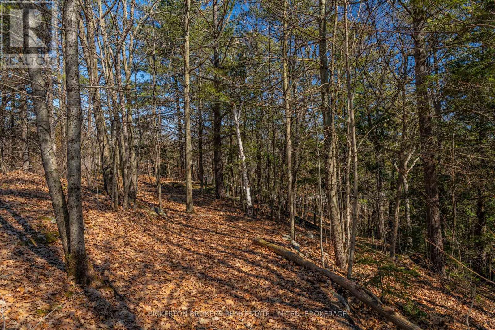 929 Riverside Road S, Leeds And The Thousand Islands, Ontario  K0E 1N0 - Photo 41 - X11924768