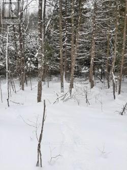 0 Fortescue Lake Road, Highlands East, Ontario  K0M 1R0 - Photo 2 - X12040257