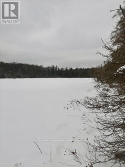 0 Fortescue Lake Road, Highlands East, Ontario  K0M 1R0 - Photo 7 - X12040257
