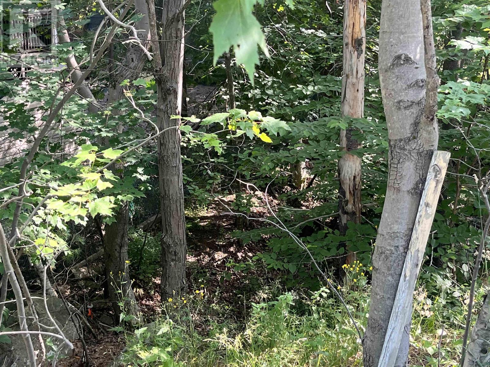 Lot C6c Purcells Cove Road, Halifax, Nova Scotia  B3P 1C4 - Photo 5 - 202505765