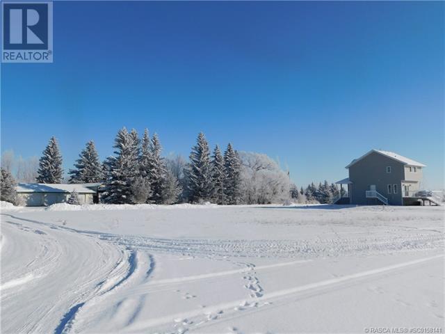 400 Howe Avenue E, Duchess, Alberta  T0J 0Z0 - Photo 8 - SC0158141