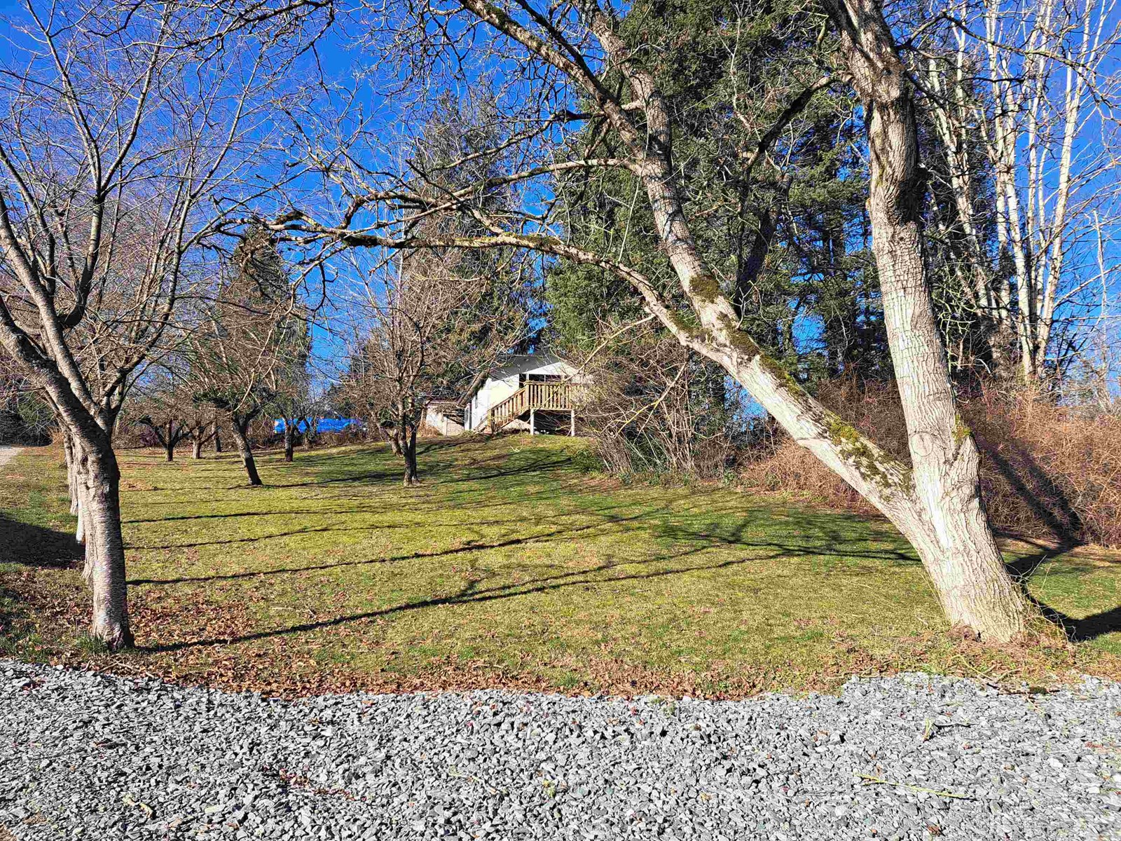 37318 Ward Road, Abbotsford, British Columbia  V3G 2K6 - Photo 10 - R2959858