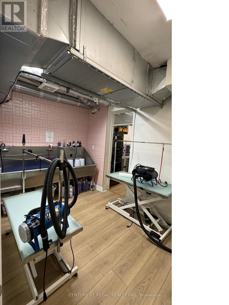 801 Dundas Street W, Toronto, Ontario  M6J 1V2 - Photo 14 - C12040568
